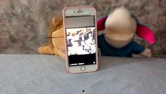 吃瓜娱乐xr,揭秘虚拟世界中的明星八卦盛宴